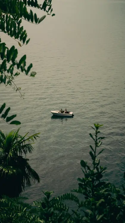 Photograph 002
