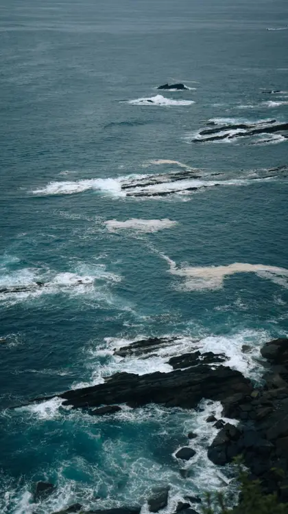 Photograph 092